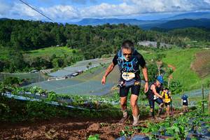 BIB: 8006
                            <button type="button" onclick="openModal(13381814)" class="btn btn-primary btn-sm float-right btn-popup" data-toggle="modal" data-target=".modal-high-quality">
                        <i class="fas fa-shopping-cart"></i> Add to Cart
                    </button>
                                            <button type="button" onclick="isThisMe(13381814, true)" class="btn btn-success btn-sm float-right btn-popup btn-isme hidden" data-toggle="tooltip" data-placement="bottom" title="นี่คือรูปของคุณใช่ไหม คลิกที่นี่เพื่อเอาเข้าอัลบั้ม">
                        <i class="fas fa-plus"></i> Add to album
                    </button>
                    <button type="button" onclick="isThisMe(13381814, false)" class="btn btn-warning btn-sm float-right btn-popup btn-isnotme hidden">
                        <i class="fas fa-ban"></i> Remove from album
                    </button>